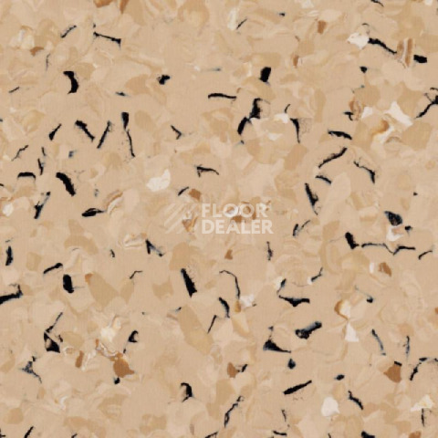 Линолеум Tarkett iq Toro Sc YELLOW BEIGE 0105 фото 1 | FLOORDEALER